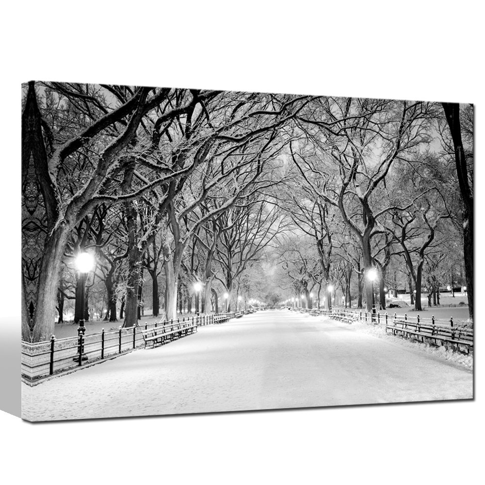Winter Canvas Wall Art New York Central Park Peaceful Landscape Painting,-24"x36" Framed Modern Home Decoration
Winter C
